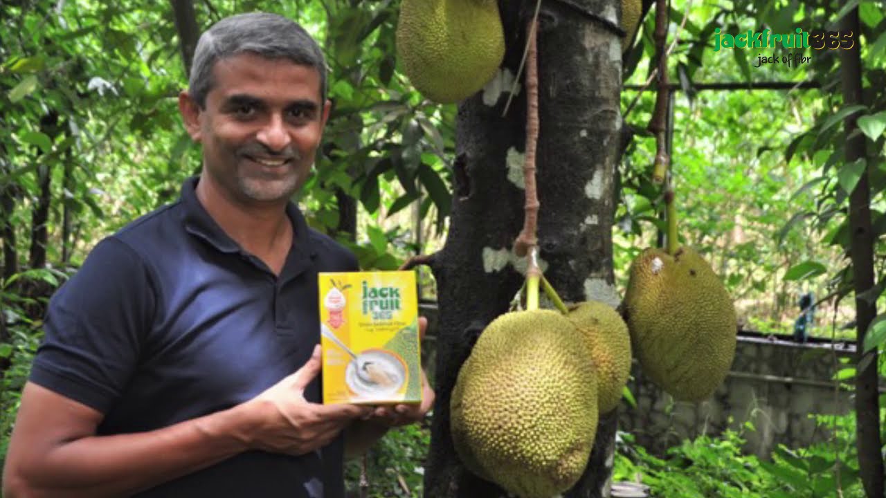 Jackfruit365 - Green Jackfruit Flour