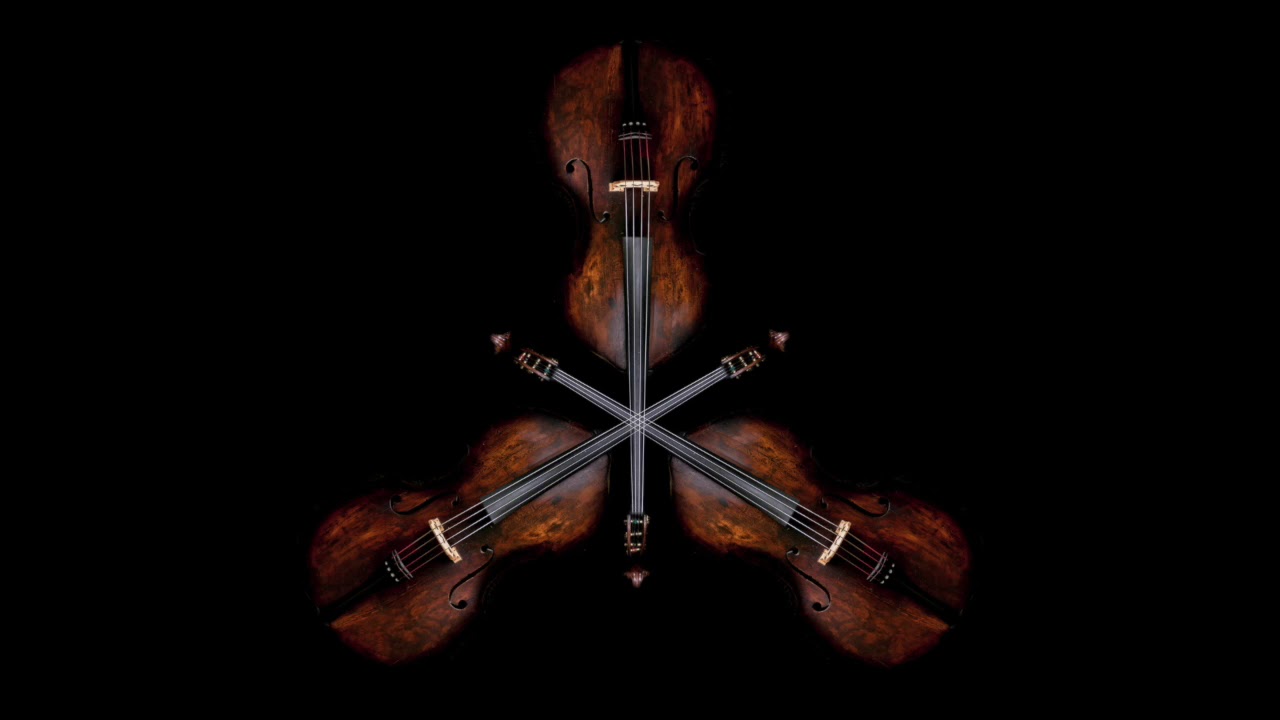 Howl's Moving Castle - Merry go round of Life Double bass bass Cover