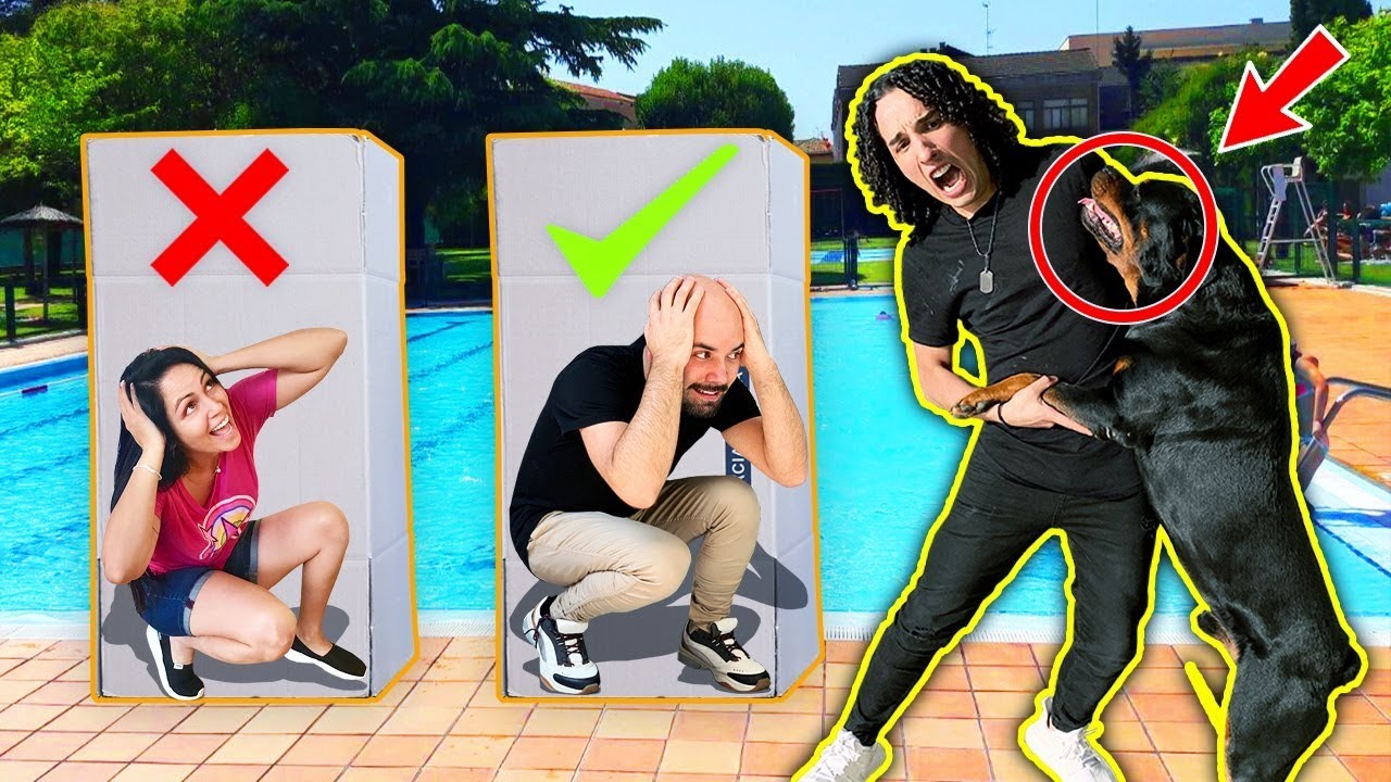 No empujes la CAJA INCORRECTA a la piscina FT SandraCiresArt