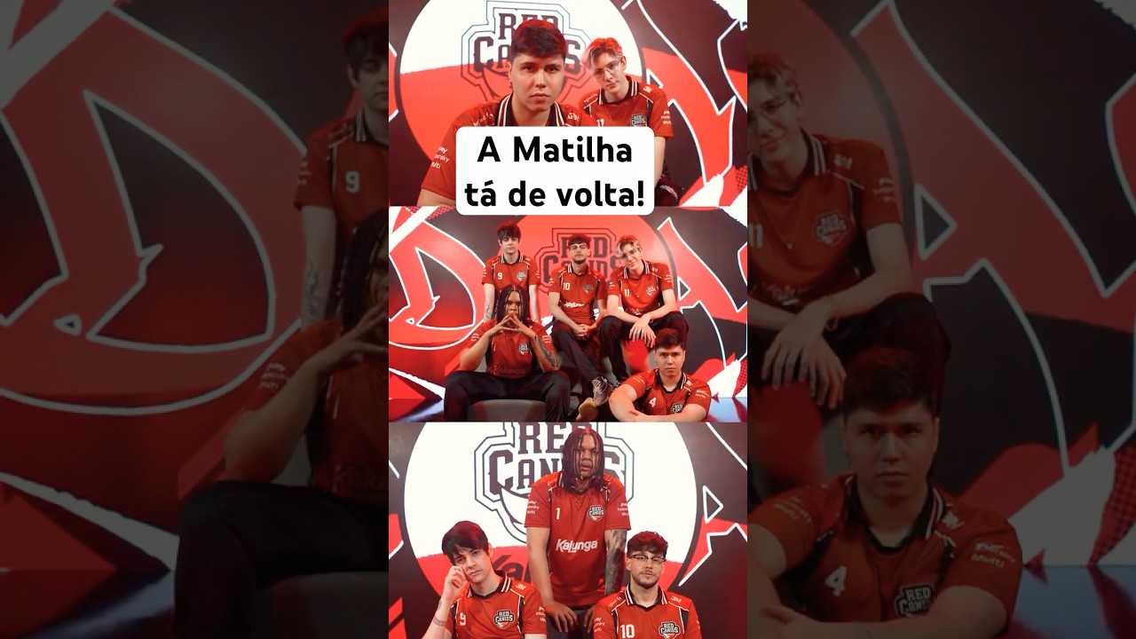 A Matilha est&aacute; de volta! Conhe&ccedil;a como chega a RED Canids para a LTA Sul