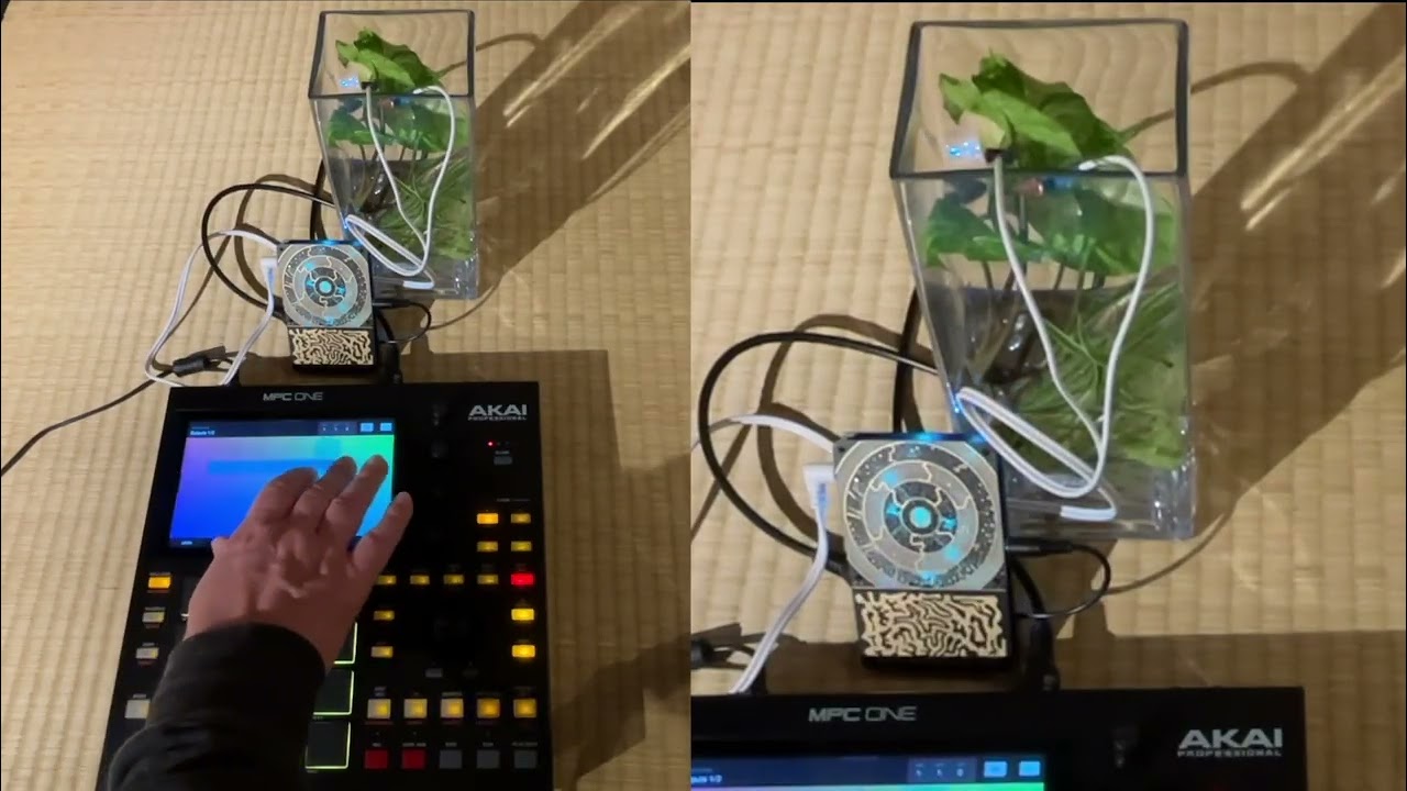 Plant Music. Instruō Pocket Scíon controls the MPC One