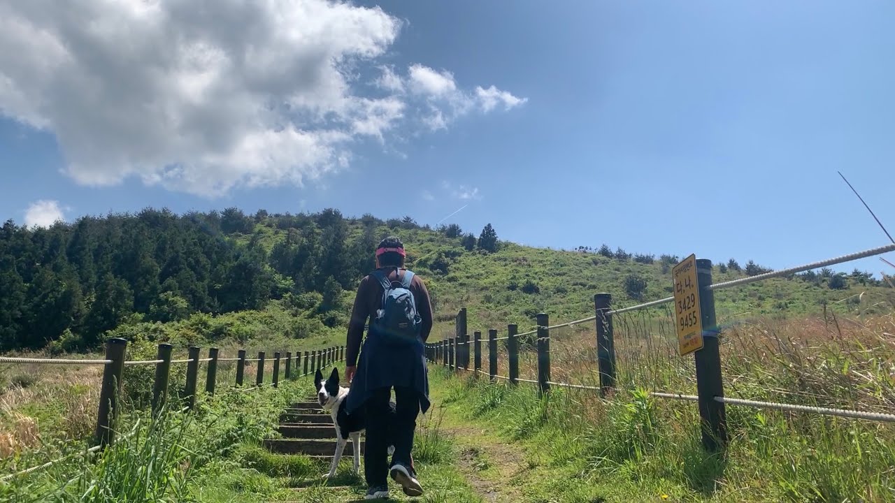 못한 일정 해치우고, 백약이오름 산책 [제주도여행.애견동반.차박여행24]