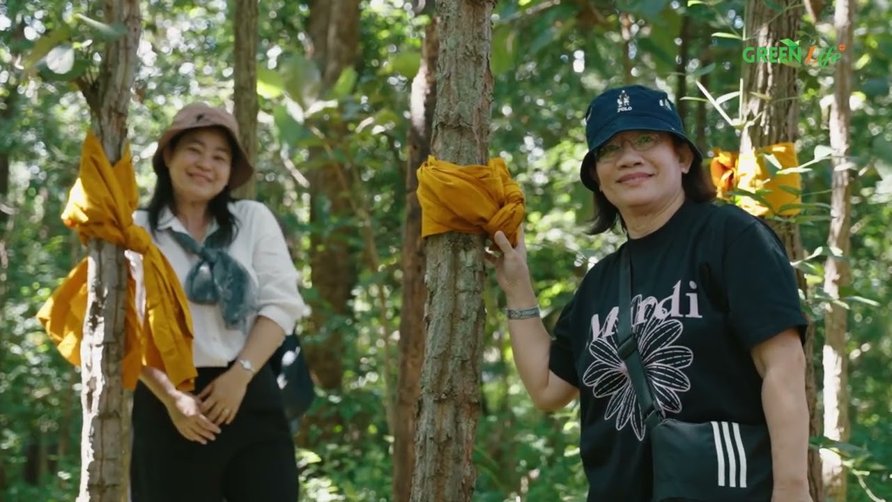 CSR Caravan Project  Forest Ordination 2025