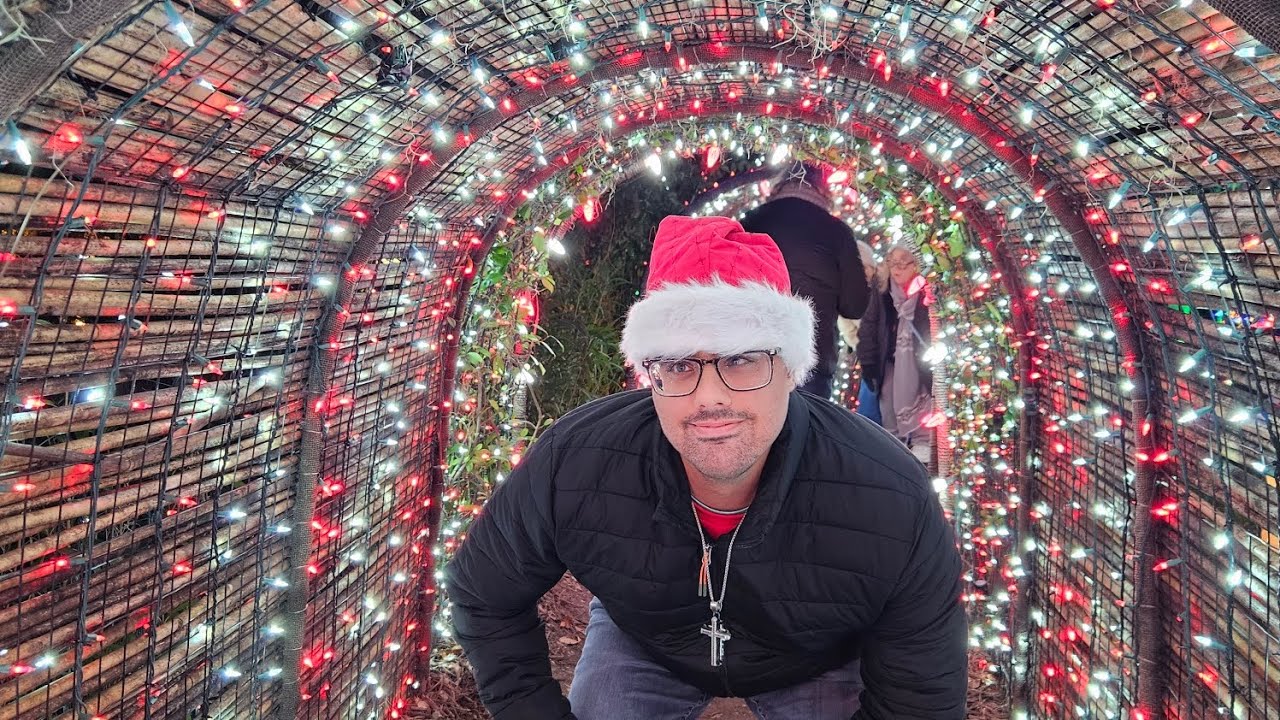 Had a amazing time at brook green gardens looking at lights