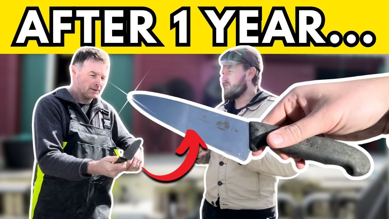 Victorinox Fibrox 8" Chef's Knife Review - Is It Any Good?