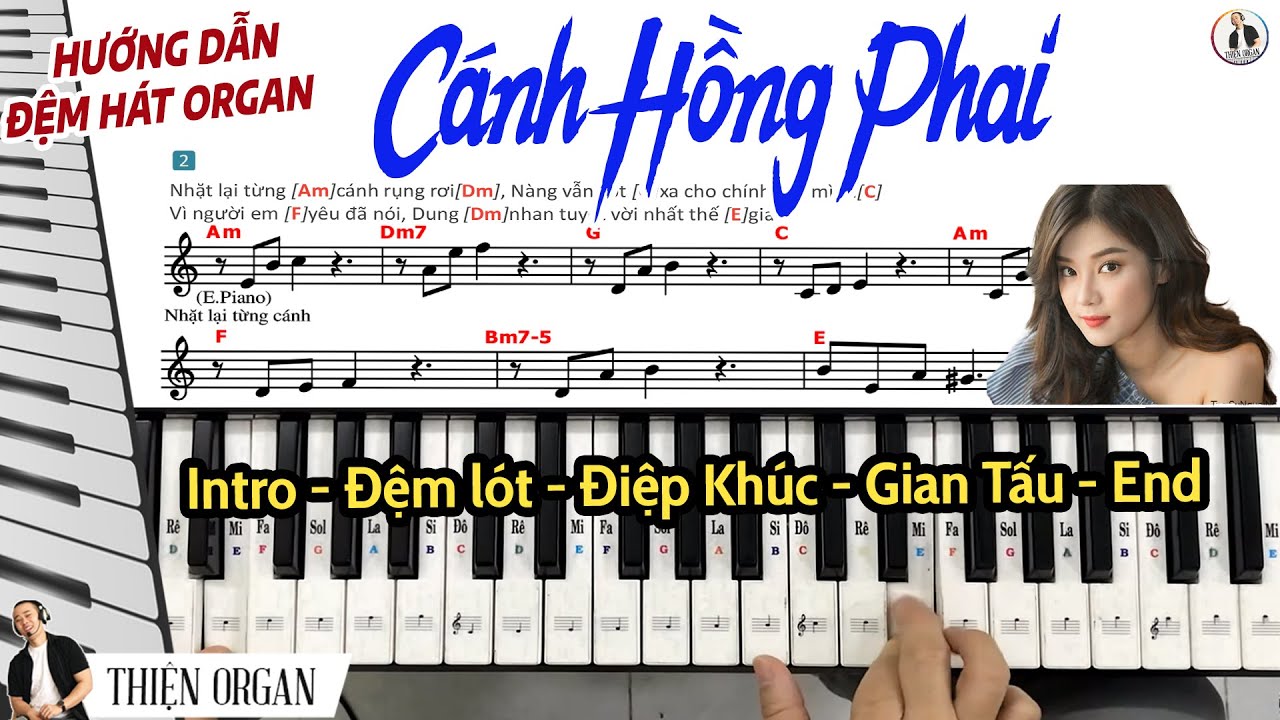 CÁNH HỒNG PHAI Hướng Dẫn Đệm Hát Organ cực hay chỉ trong 10 phút || THIỆN ORGAN