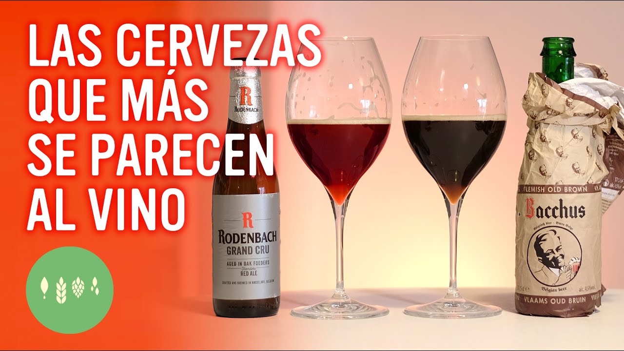Roja de Flandes y Oud Bruin. Las cervezas que m&aacute;s se parecen al vino