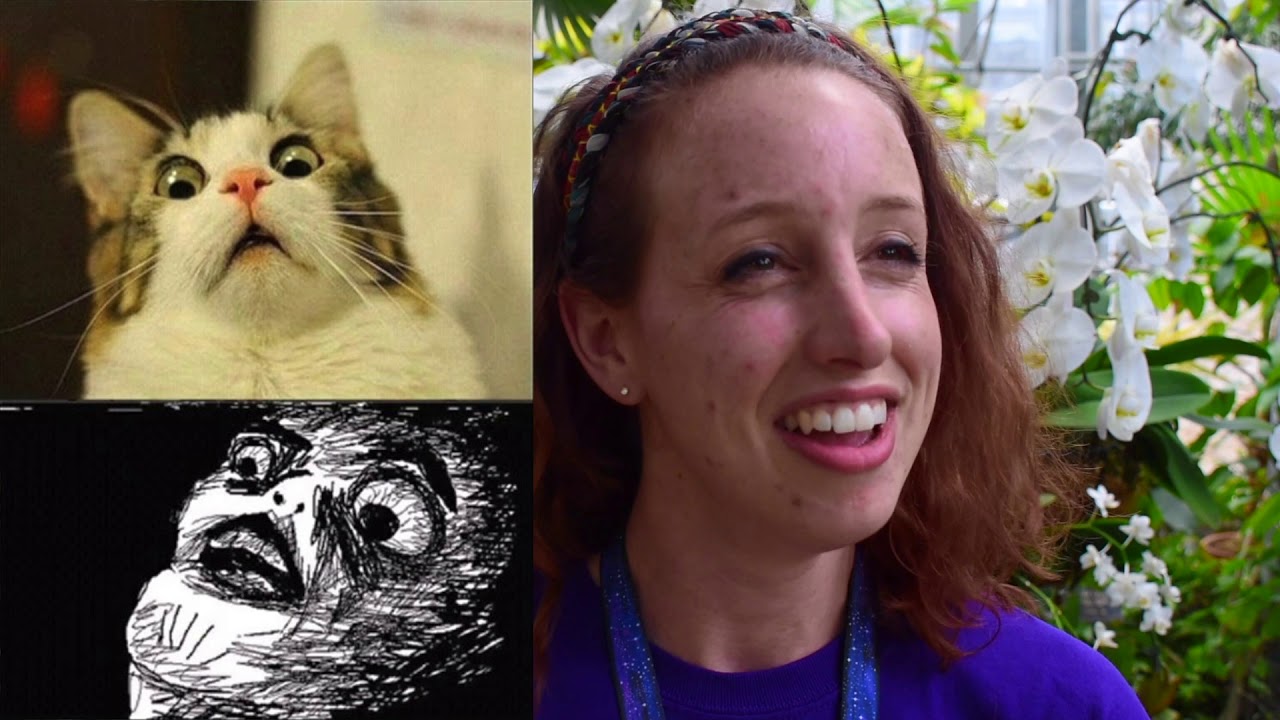 Rockford Travels: Nicholas Conservatory