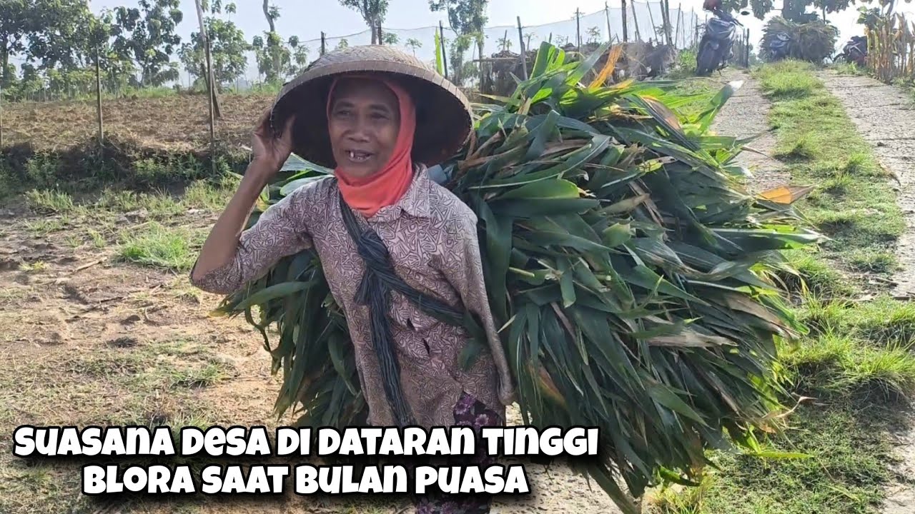 Realita Kehidupan Petani Di Desa Saat Bulan Puasa Di Salah Satu Desa Tertinggi Kab Blora Part 01