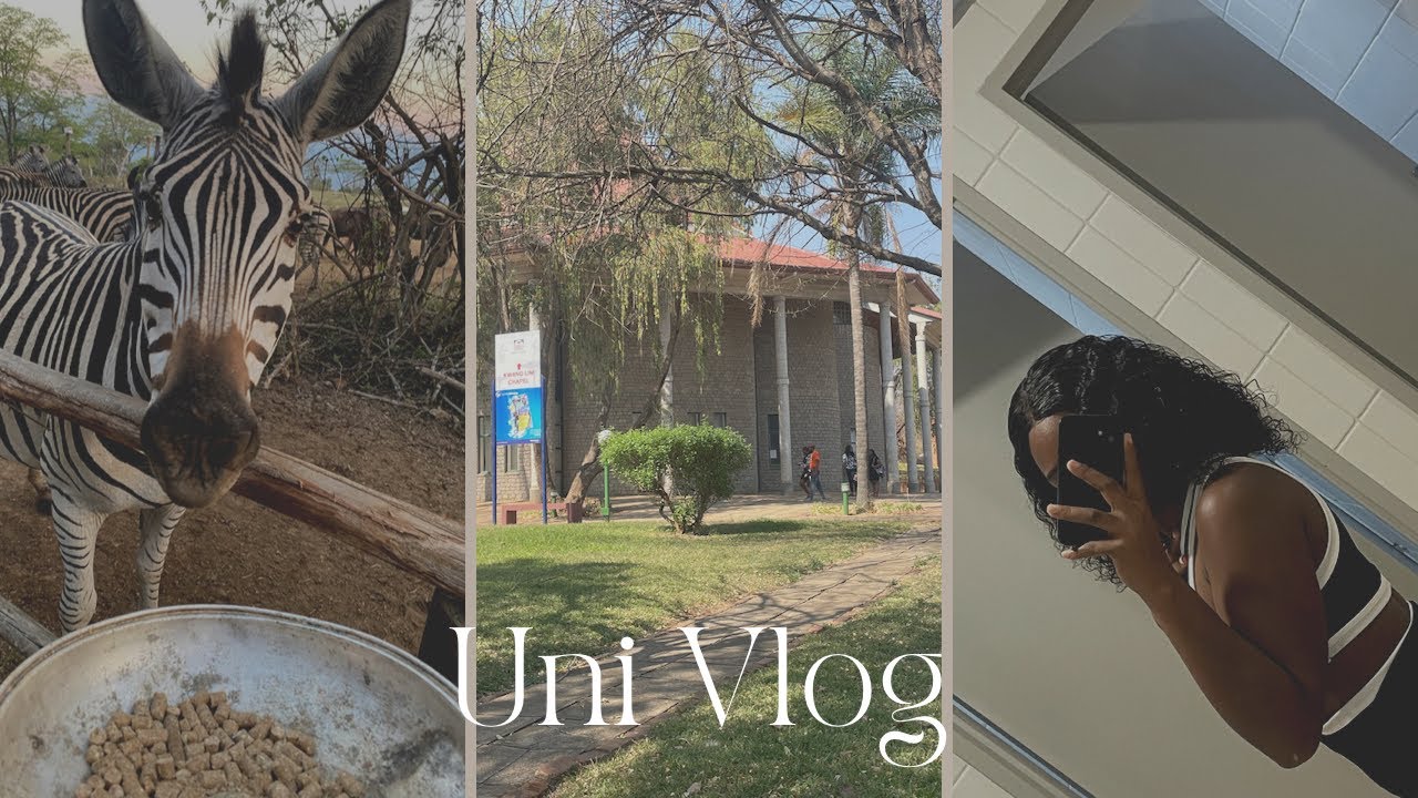 Uni Diaries  | Weekly life of a university student | Africa University | Zimbabwean YouTuber