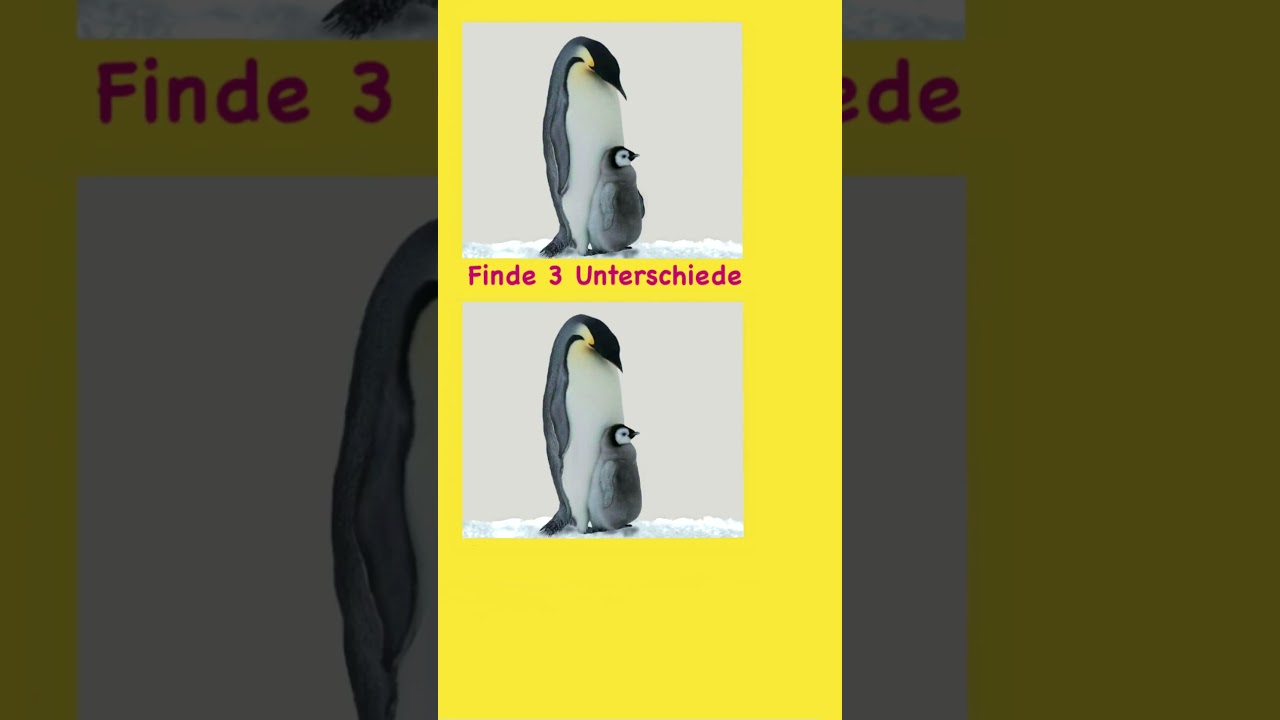 Finde drei Fehler 
