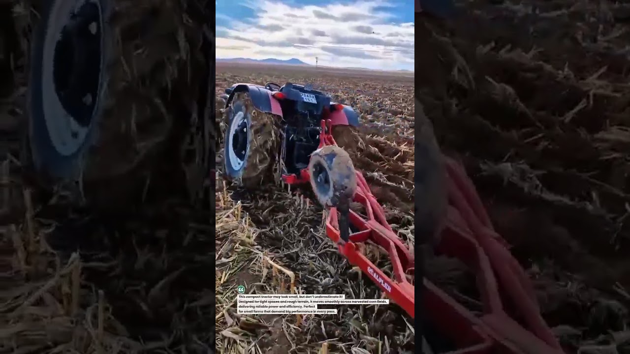 Compact Field Beast: Small Tractor Dominates Corn Field! #FarmTech #TractorPower #AgriLife