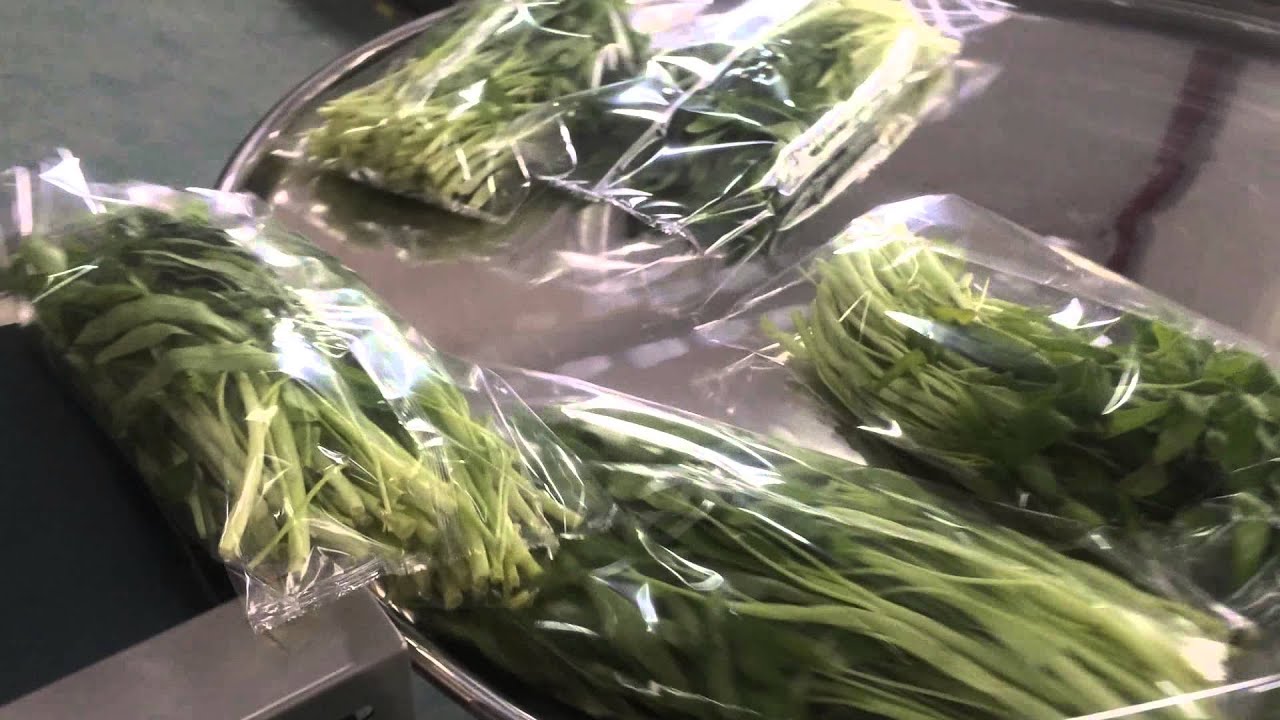 Automatic vegetable flow packing machine with thermal Date printer