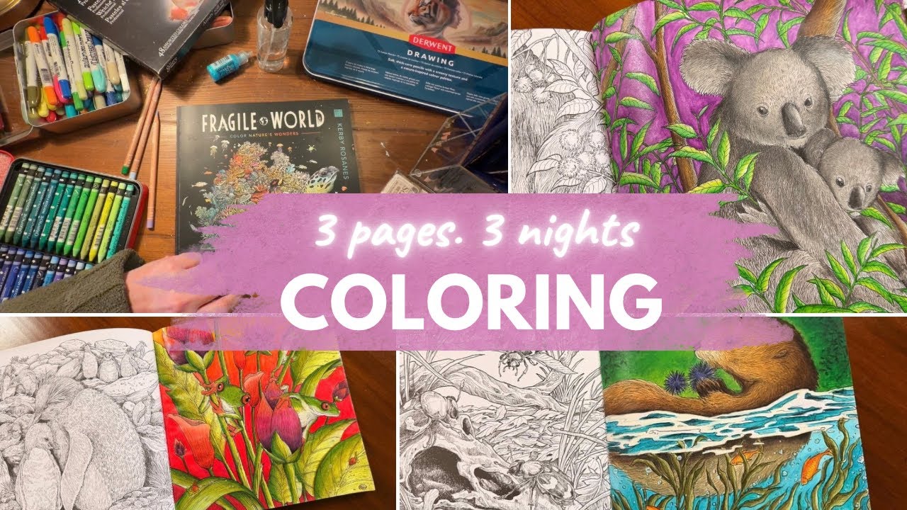 New Coloring Series: 3 Pages in 3 Evenings | Fragile World