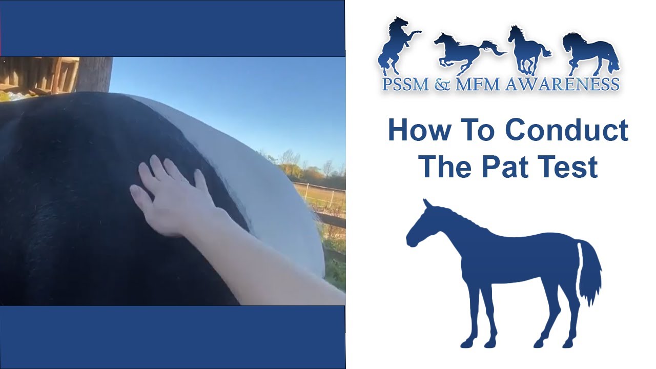 PSSM & MIM Management- How To Conduct The Pat Test