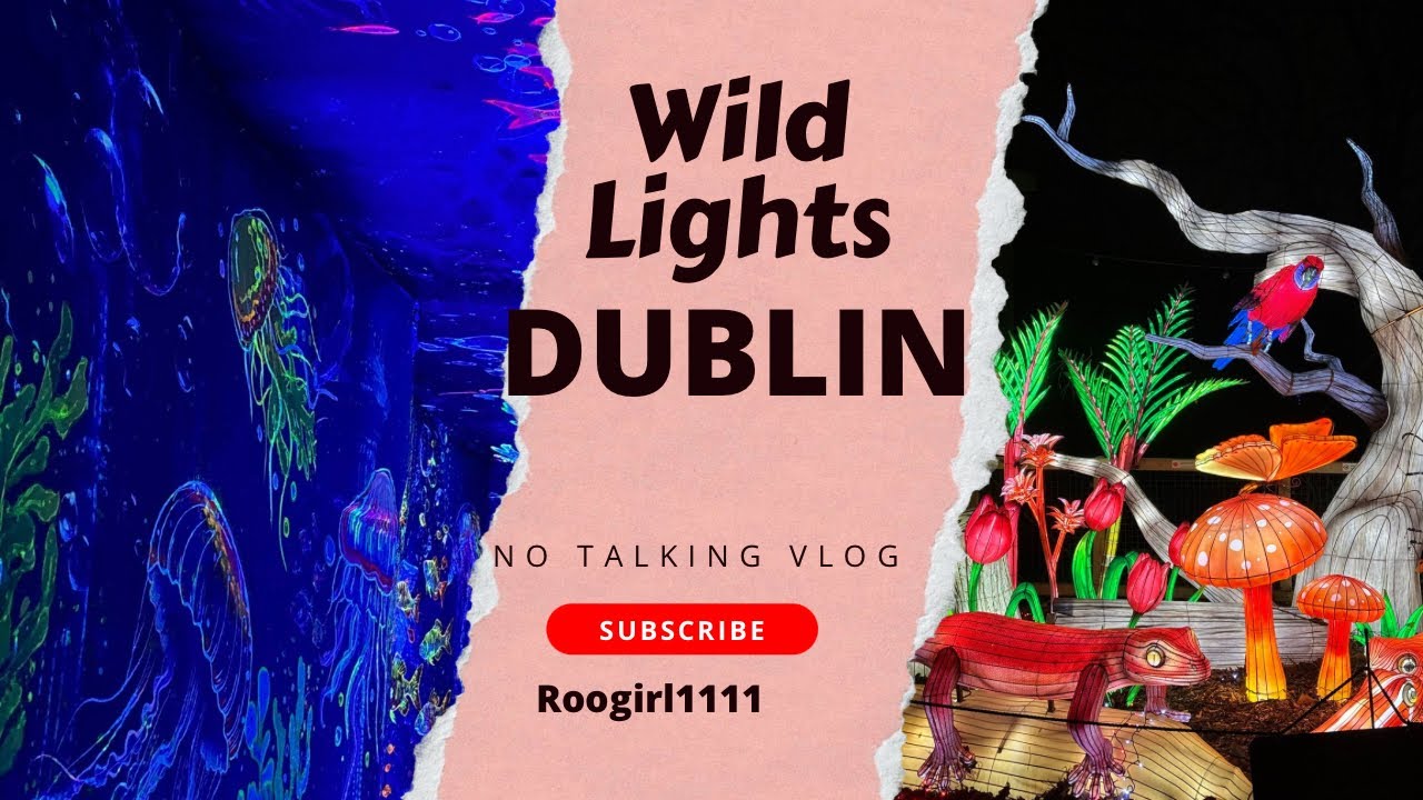 Come with me - Wild Lights Ireland 🇮🇪 