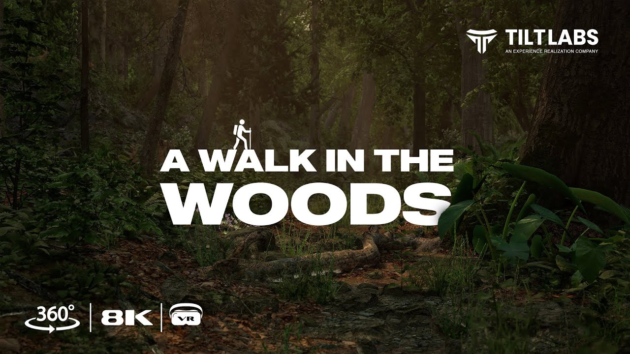 Stunning 8K VR 360&deg; Video - Walk in the Woods - Powered by Unreal Engine 5 | Tiltlabs