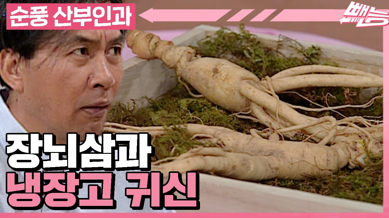 [순풍 산부인과] 화려한 군침이 나를 싸악 감싸네😋 장뇌삼을 노리는 냉장고 귀신 영규│266화
