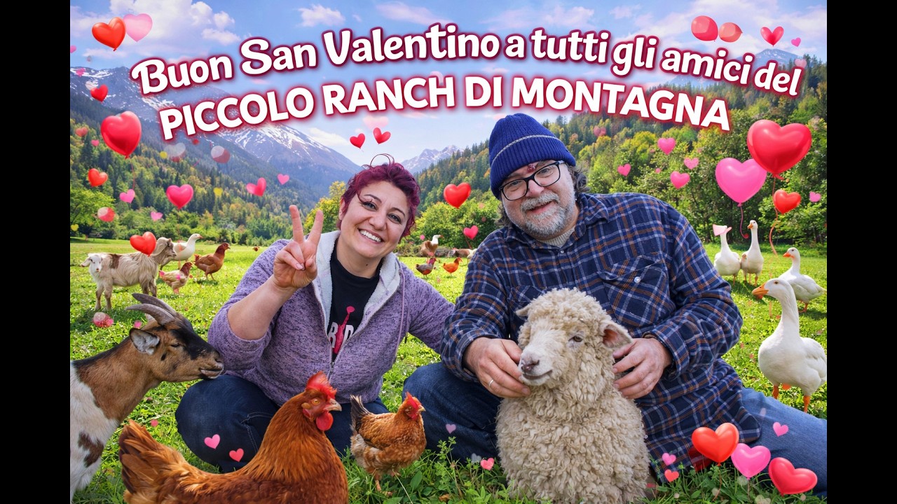 💖 Buon San Valentino dal Piccolo Ranch di Montagna! 💖 #fattoria #montagna #animali #vitainmontagna