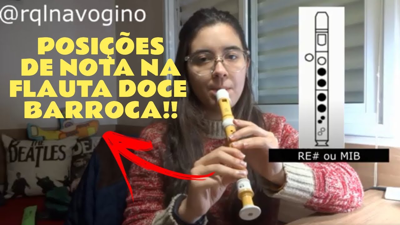 POSIÇÕES/DEDILHADO DE NOTAS NA FLAUTA DOCE BARROCA - #MultiRaquelDias