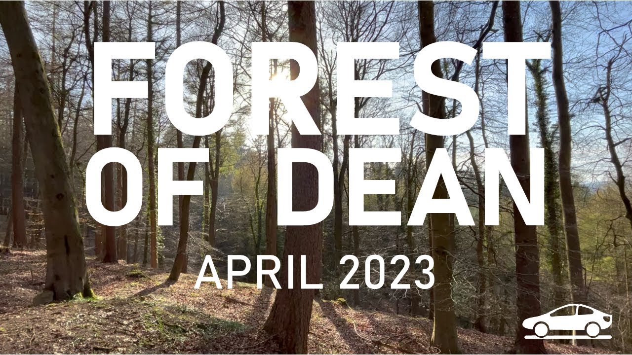 Forest of Dean || Symonds Yat || April 2023