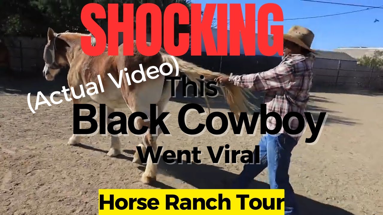 SHOCKING Horse Ranch Tour This Black Cowboy BEYOND BELIEF!!!