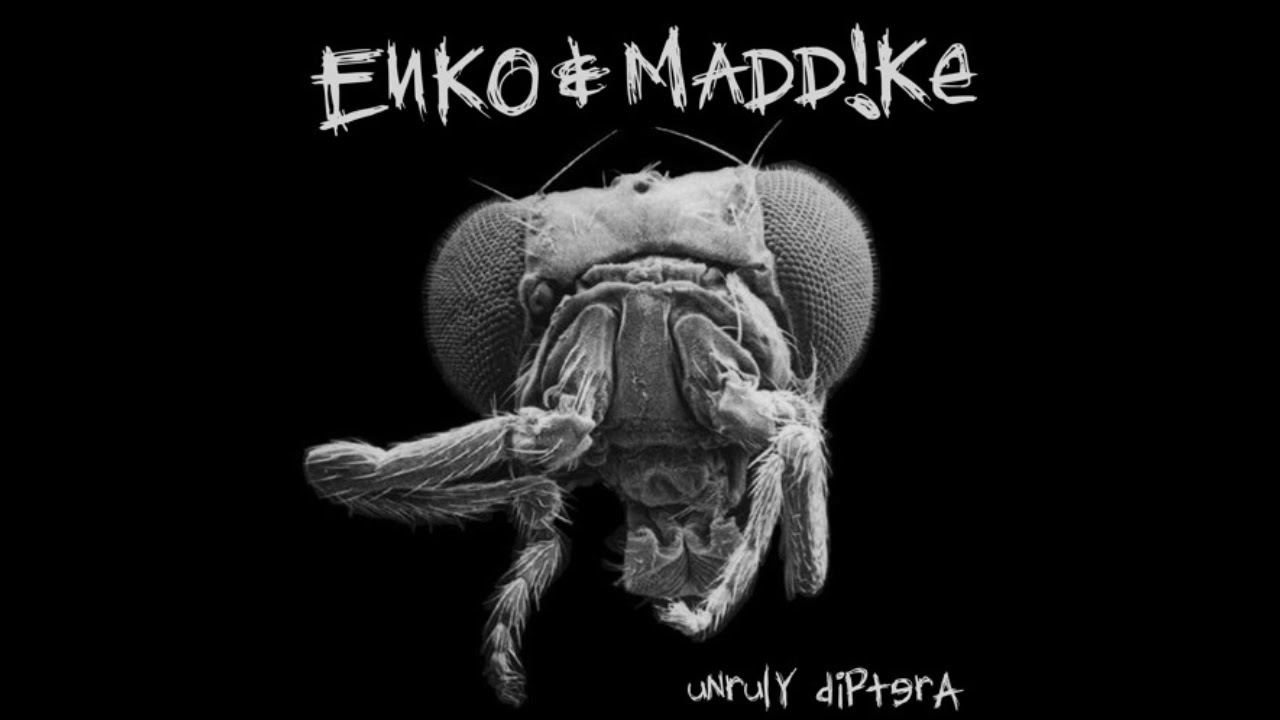 Enko & Maddike - Unruly Diptera