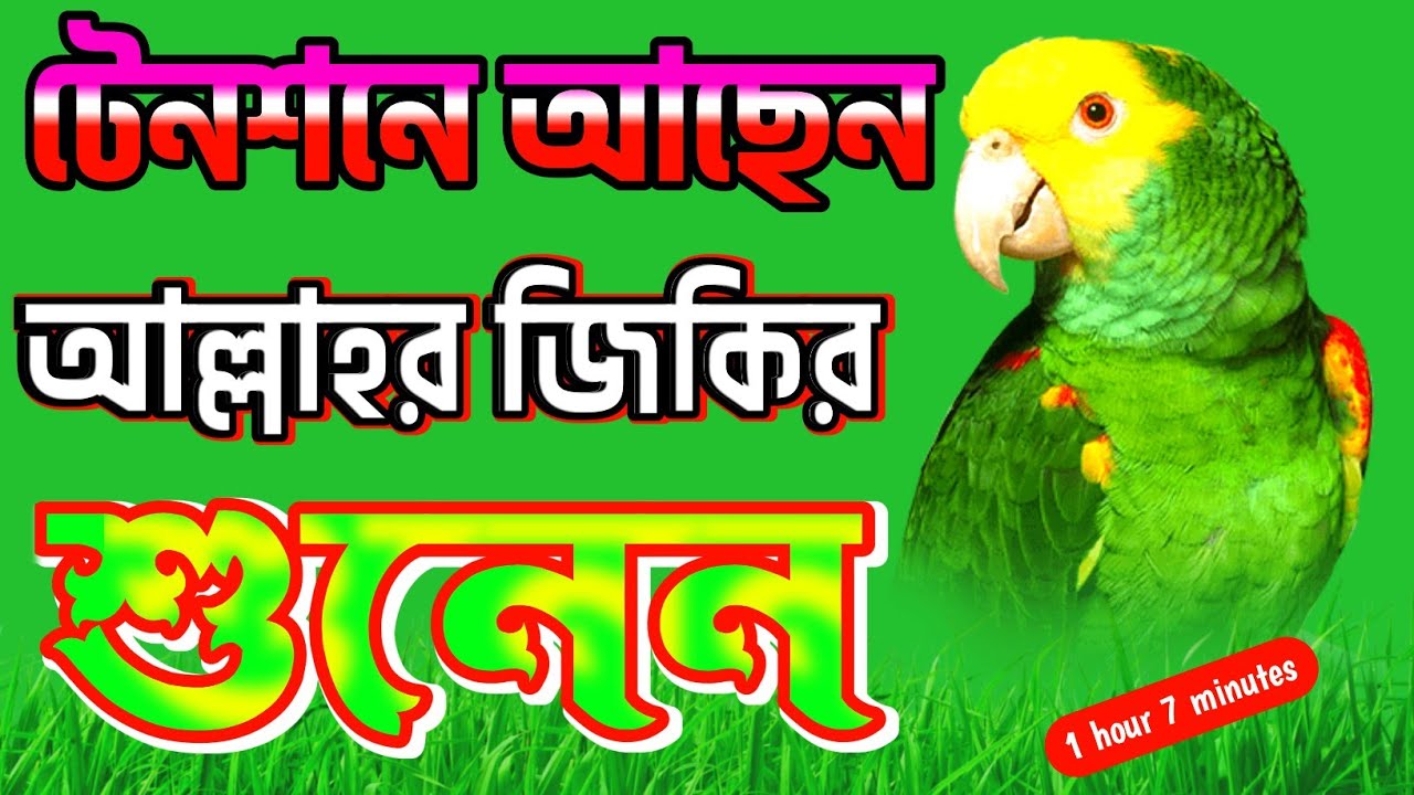 মায়াবী কন্ঠে সেরা জিকির | Selected 12 Top jikir | Best New jikir | Bangla zikir 2024 #জিকির