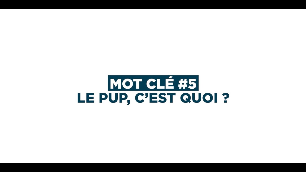 Le PUP, c'est quoi ? par Thomas Plottin - 120e Congrès des notaires