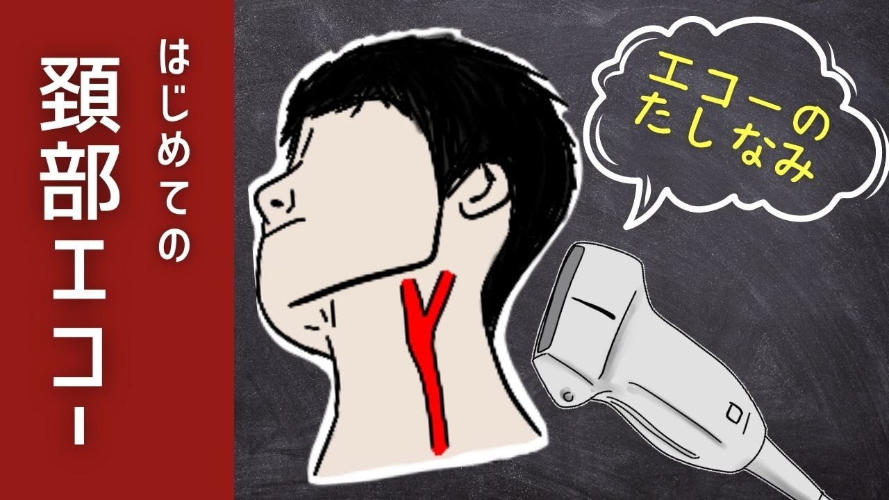 【番外編①】初めての頸動脈エコー