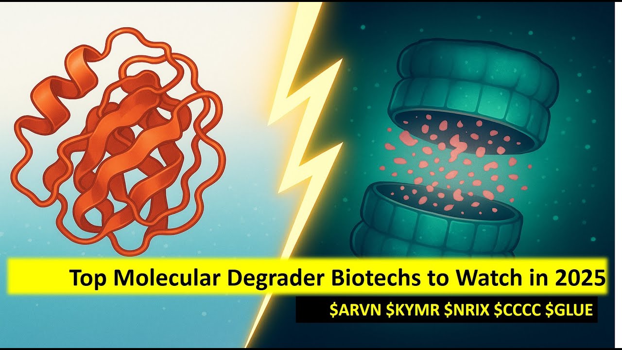 Molecular Degraders: What They Are and Top Biotechs to Watch in 2025 &ndash; $ARVN $KYMR $NRIX $CCCC $GLUE