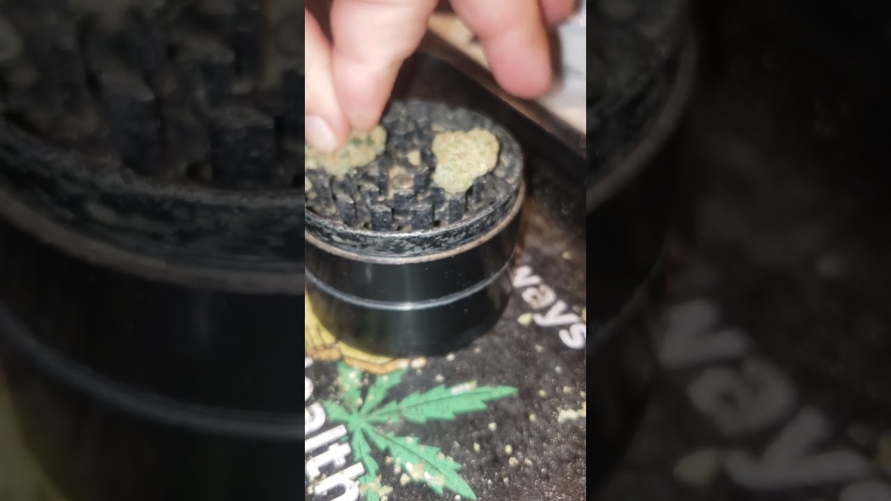Blueberry Runtz ~ Hybrid