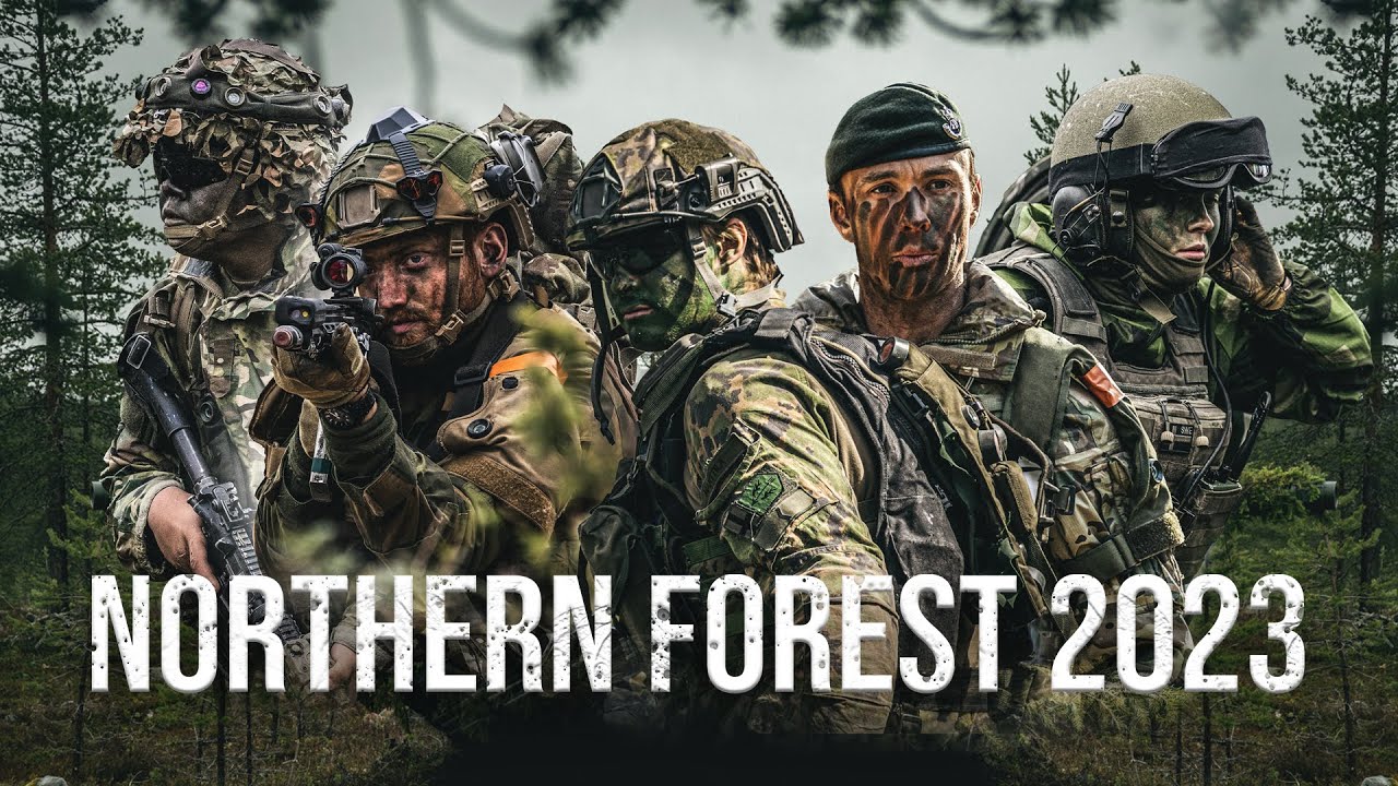 Northern Forest 23 - Together we are stronger