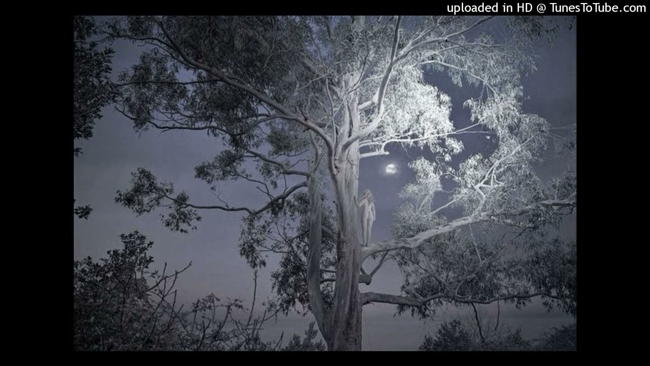 *free for profit* emoplugg archivecore greyrock type beat