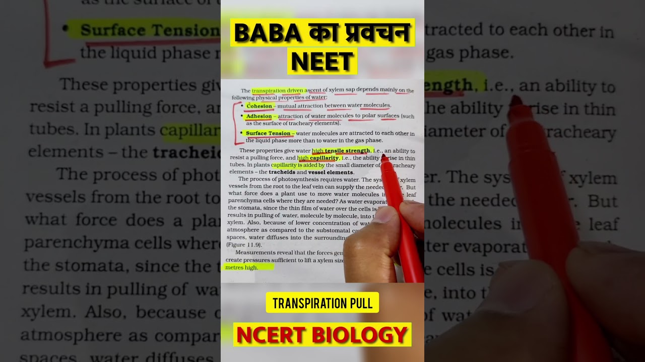 TRANSPIRATION PULL  ● Baba का प्रवचन 253 ● NEET 2023 ● Dr  Hariom Gangwar