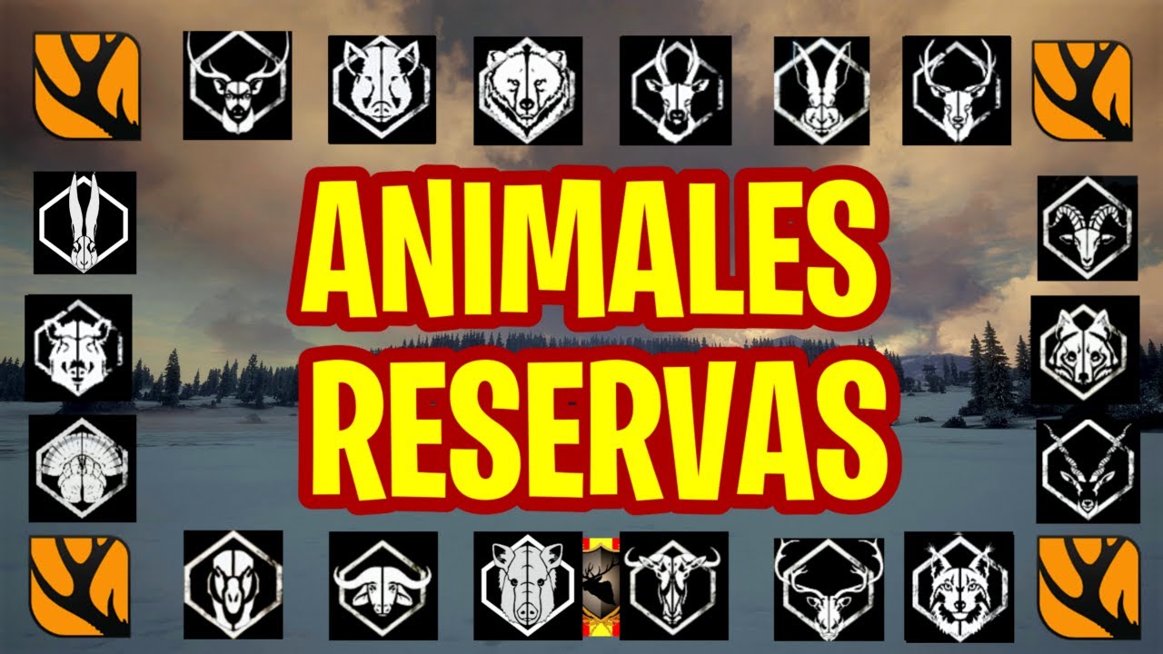 GUÍA 2022 APRENDIZ DE CAZADOR | AMIMALES Y SUS RESERVAS | theHunter: Call of the Wild 2022 | 263