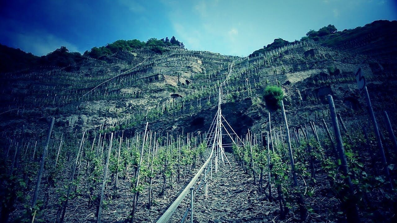 Weingut Heymann-Löwenstein with Reinhard Löwenstein part.2 #015