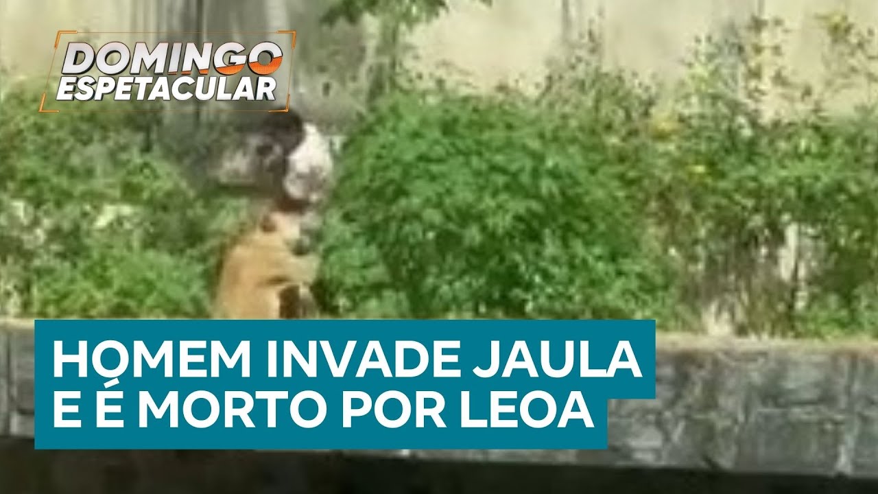 Homem invade jaula e é morto por leoa em zoológico de João Pessoa (PB)