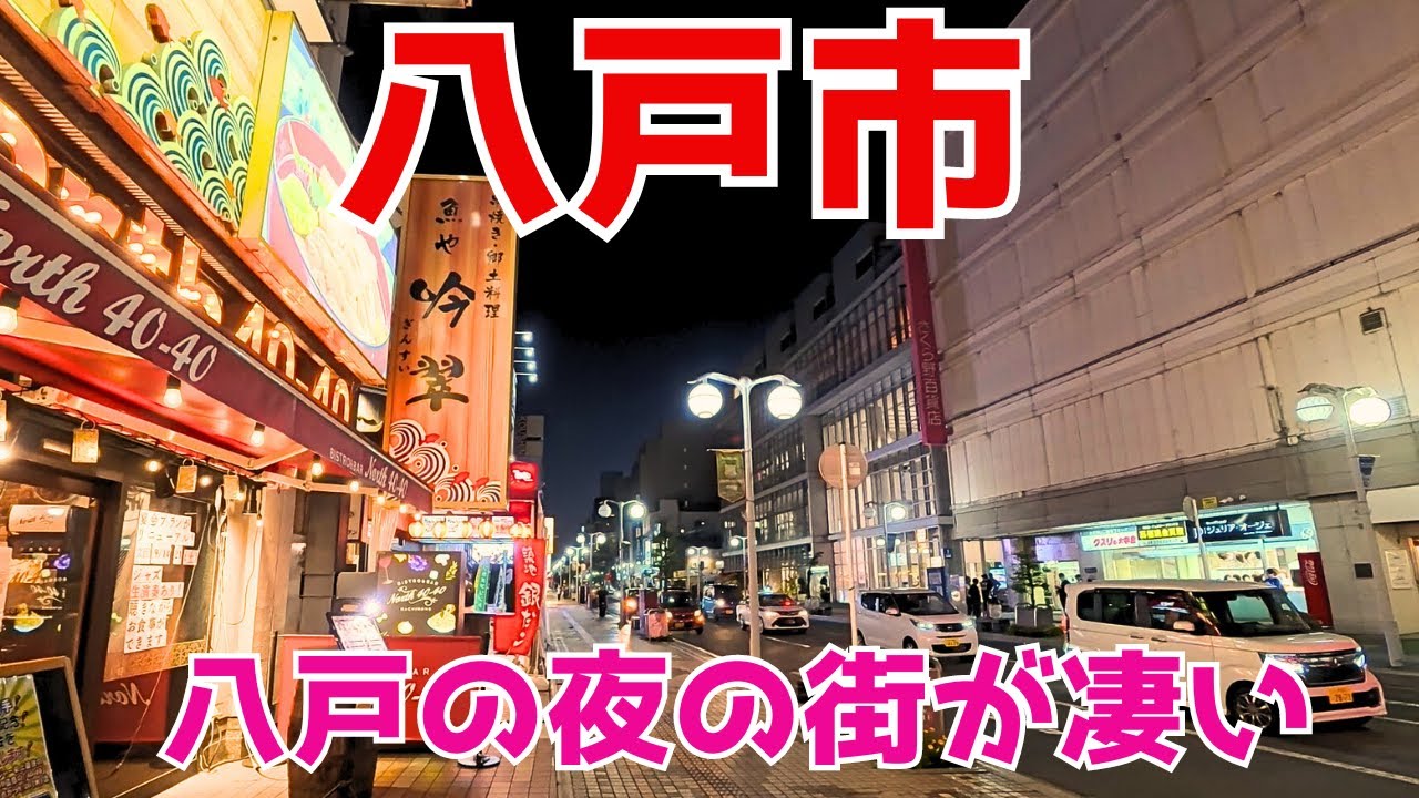 【八戸市】東北屈指の八戸の夜の街はかなりの活気！青森市との確執ゆえに誕生した市庁やピアドゥのイトーヨーカドー閉店でもラピアやイオン田向店など元気な周辺商業施設を散策 Go to Hachinohe