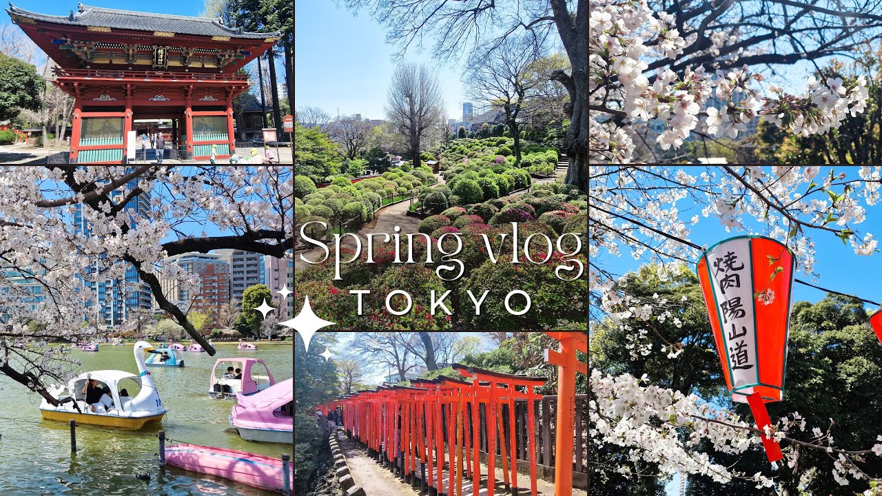 🌸 Spring Vlog Tokyo 🌸 Nezu Shrine & Ueno Park 🌸 Sakura 🌸