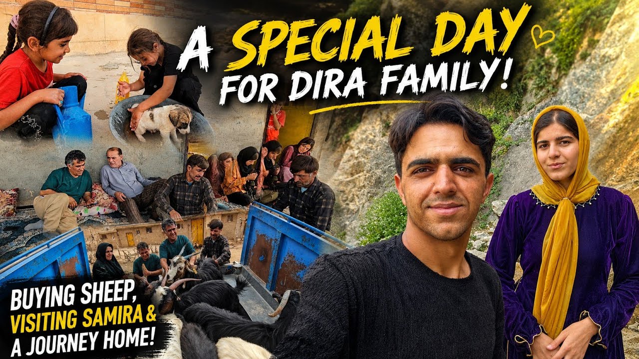 🐑 A Special Day for DIRA Family! Buying Sheep, Visiting Samira & A Memorable Journey Home ❤️