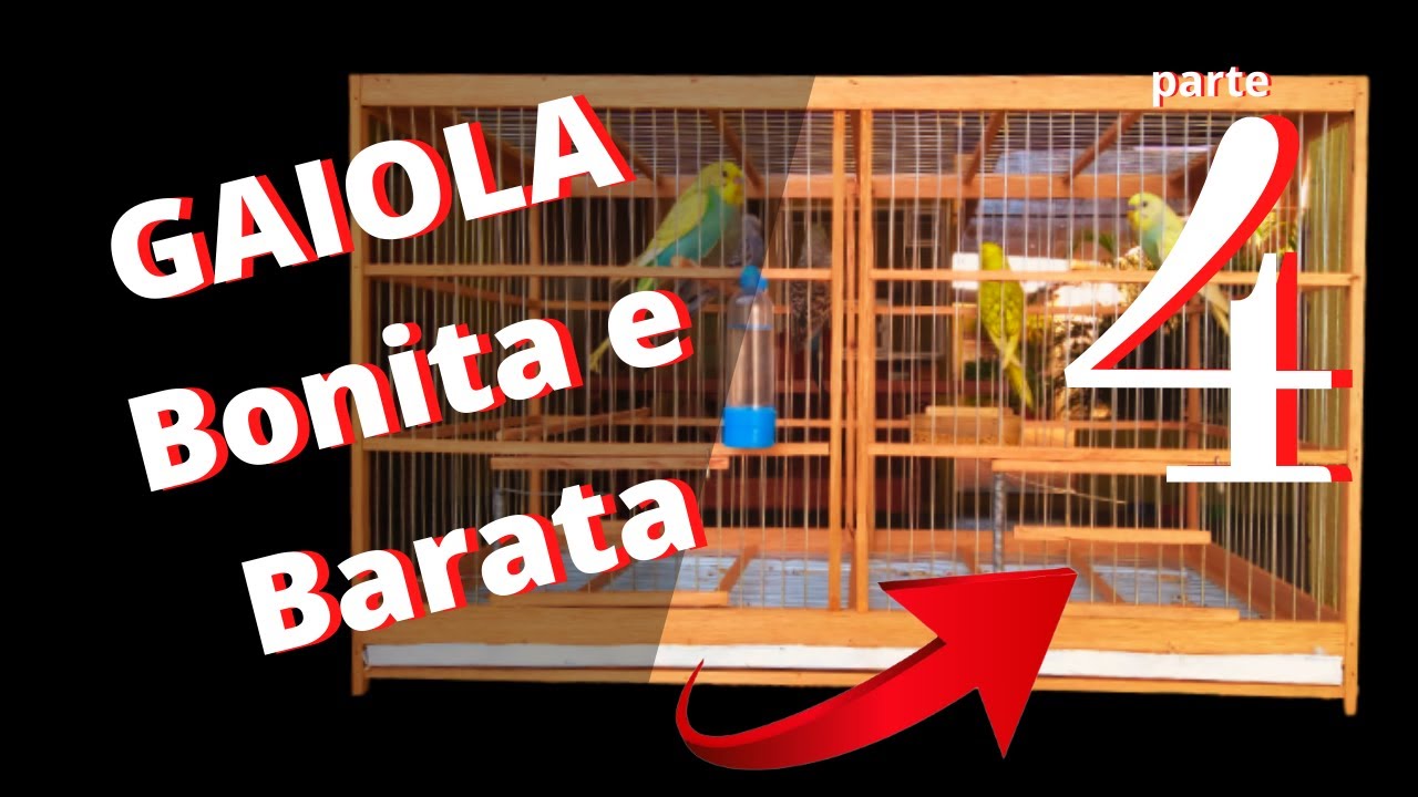 Como Fazer Gaiola Voadeira Bonita e Barata parte 4