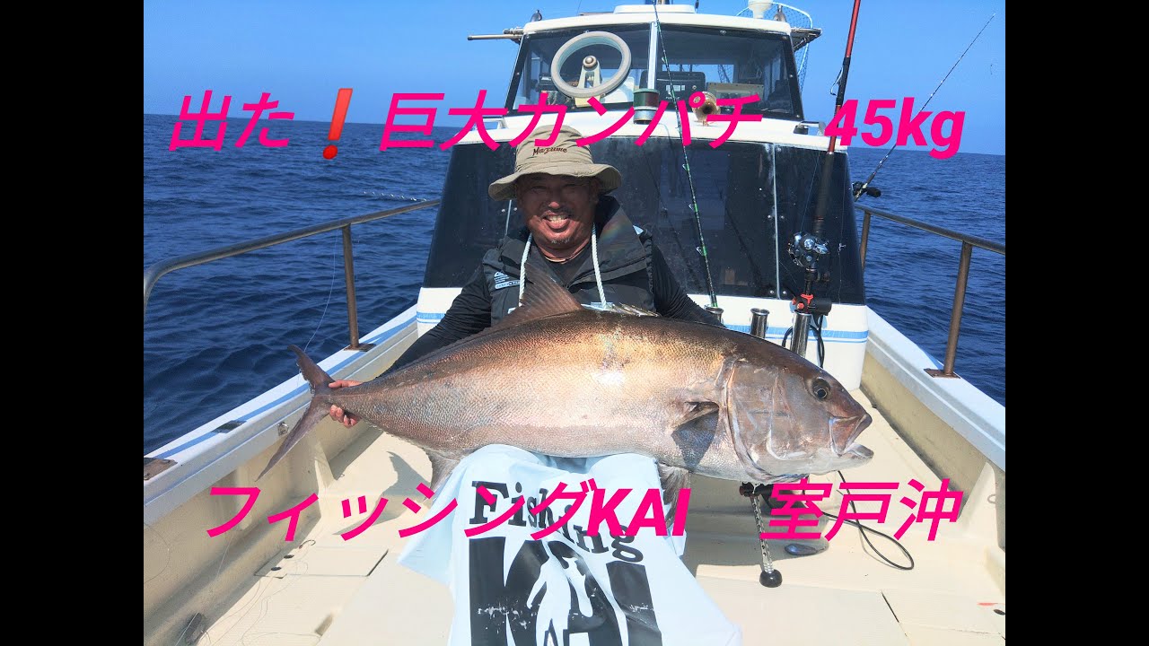出たー！　巨大カンパチ45㎏　フィッシングKAI　室戸沖