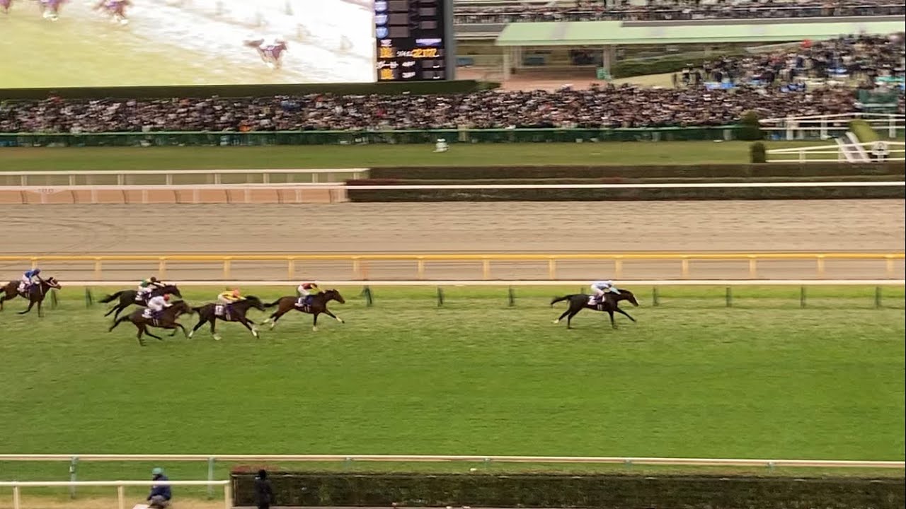 【現地映像】イクイノックス圧巻…！！世界最強の実力を見せつける…！！！【ジャパンC2023】