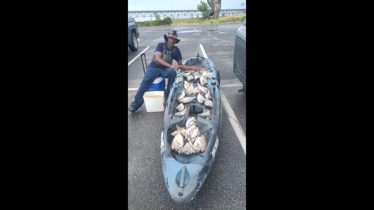 Porgy Fishing Nonstop Action Marine Parkway Bridge ( 08/04/2024 )