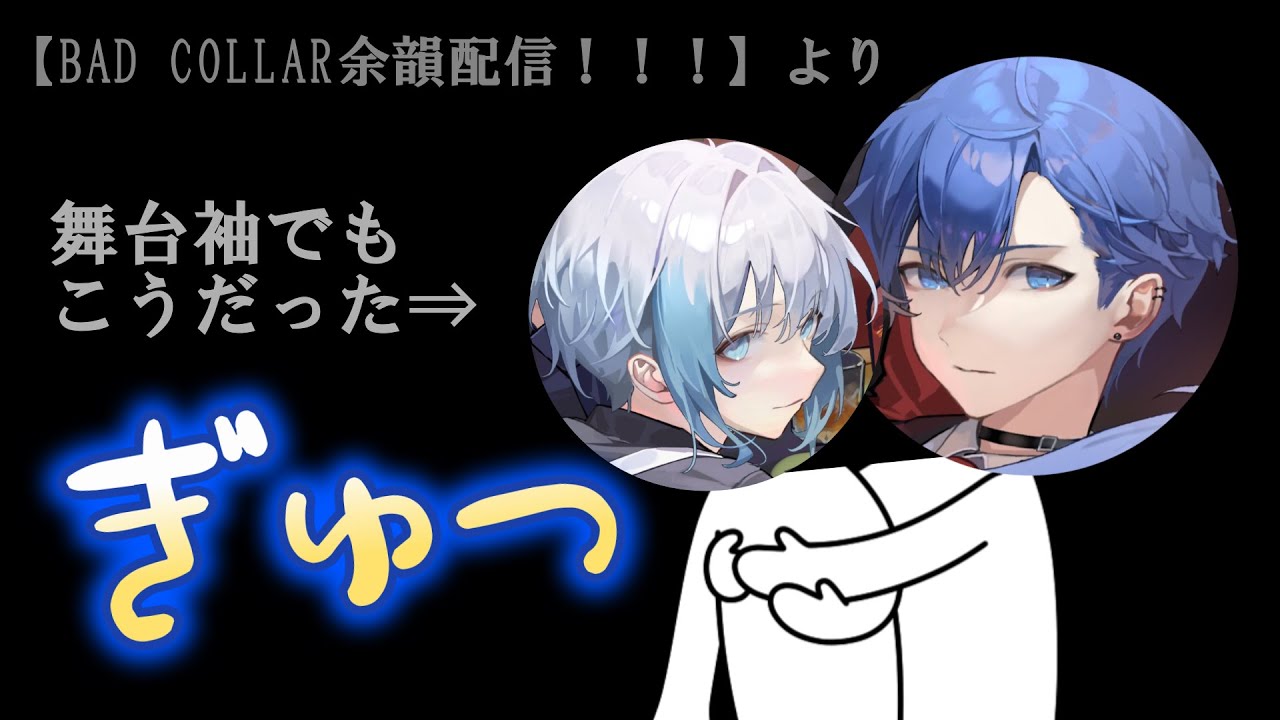 【証言多数】ライブ中いちゃいちゃしてたしるムチャのお話【切り抜き】【しるばーな×ムチャ】