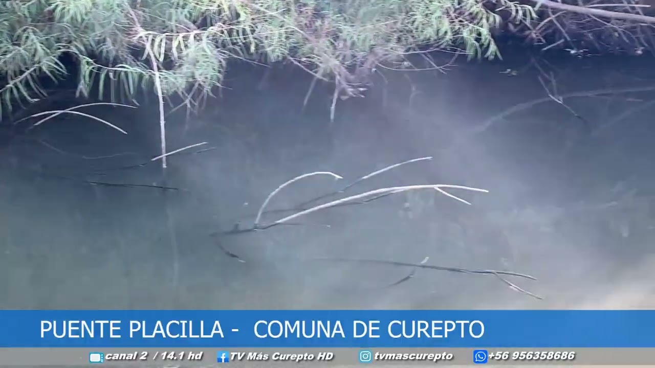 PUENTE PLACILLA   COMUNA DE CUREPTO prproj