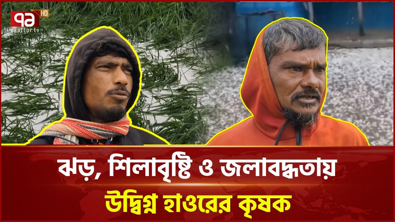 সুনামগঞ্জে বোরো ফসলের ব্যাপক ক্ষতি | Sunamganj | Ekattor TV