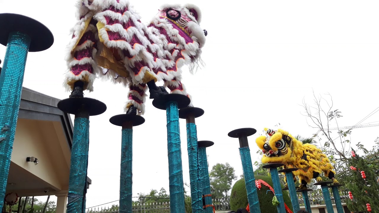 Sabah Nan Shan Lion Dance 2020 Chinese New Year Performance.