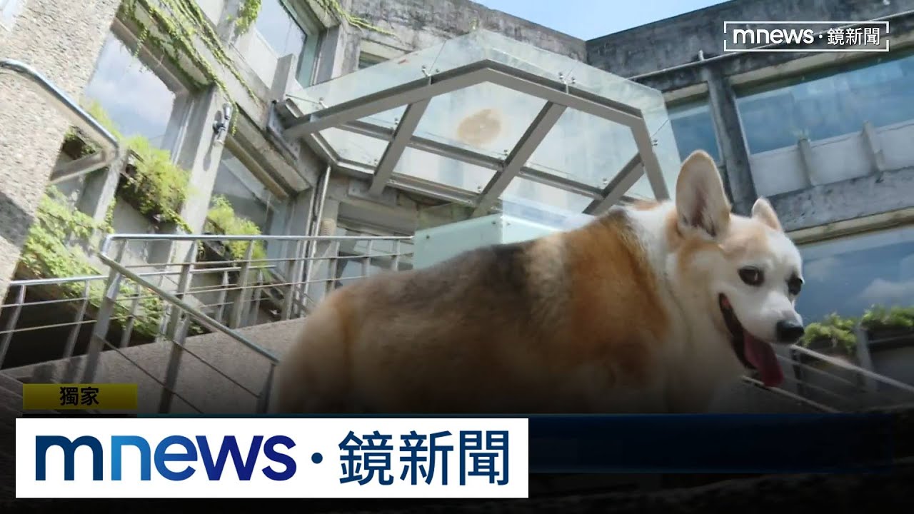 獨家／台大「小福樓」傳年底整棟封閉　校園回憶走入歷史｜#鏡新聞